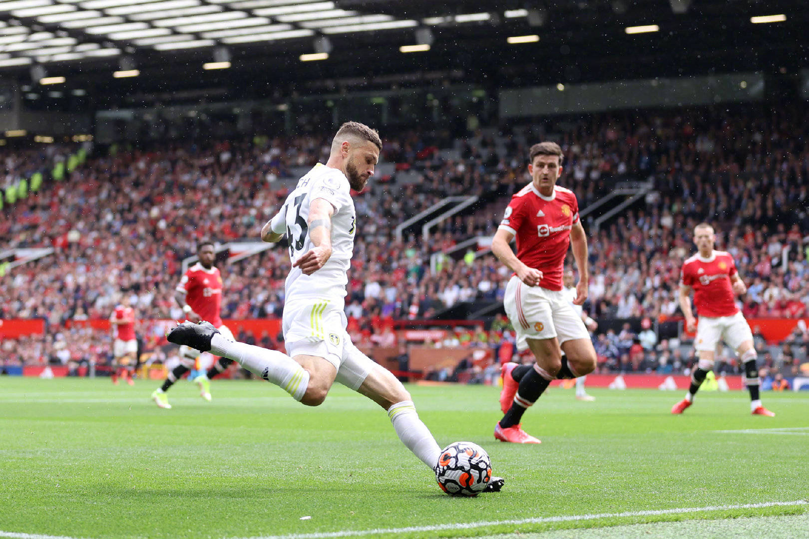 他不仅是那 他不仅是那