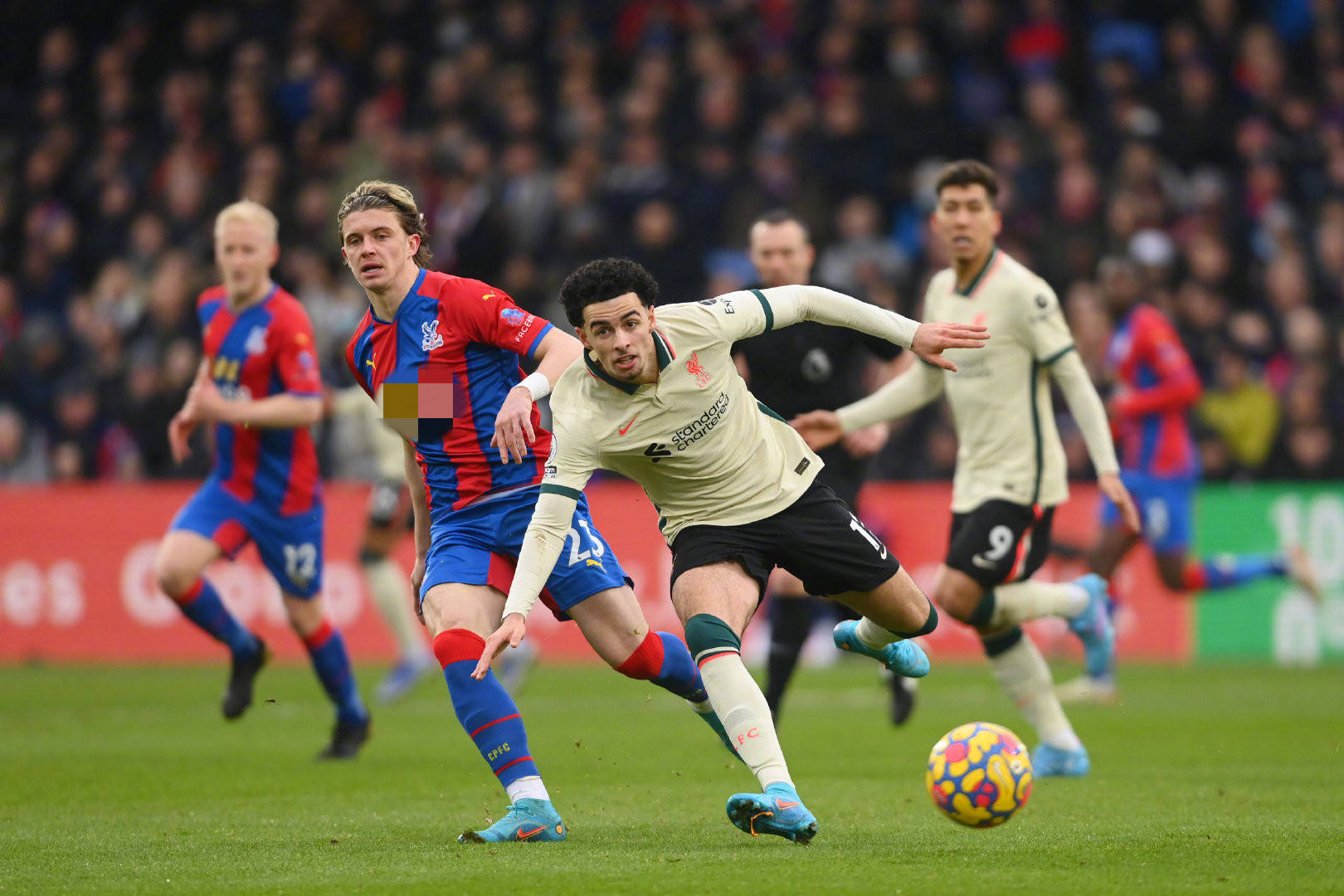 整个城市的 整个城市的